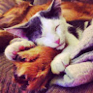 Meet your Posher, Melanie